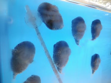 越前松島水族館に投稿された画像（2024/10/27）