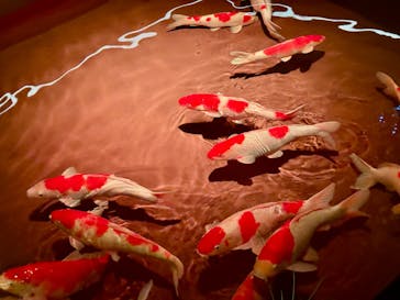 AQUARIUM × ART　atoaに投稿された画像（2024/10/27）