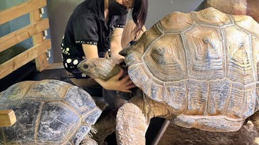 AQUARIUM × ART　atoaに投稿された画像（2024/10/27）