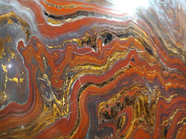 福井県立恐竜博物館に投稿された画像（2024/10/27）