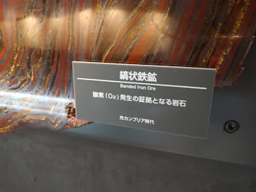 福井県立恐竜博物館に投稿された画像（2024/10/27）