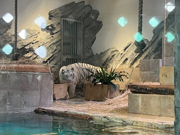 NIFREL（ニフレル）に投稿された画像（2024/10/27）