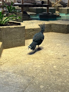 NIFREL（ニフレル）に投稿された画像（2024/10/27）