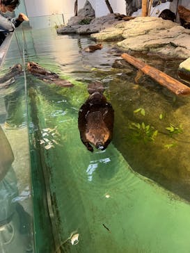 NIFREL（ニフレル）に投稿された画像（2024/10/27）