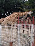 東武動物公園に投稿された画像（2024/10/27）