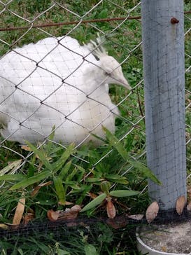 東武動物公園に投稿された画像（2024/10/27）