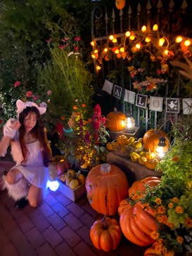 横浜イングリッシュガーデンに投稿された画像（2024/10/27）