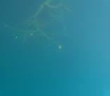 本栖湖アクティビティセンターに投稿された画像（2024/10/27）