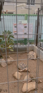 竹島水族館に投稿された画像（2024/10/27）