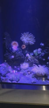竹島水族館に投稿された画像（2024/10/27）