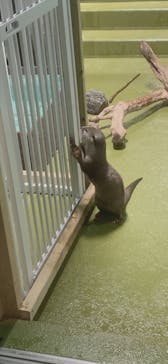 竹島水族館に投稿された画像（2024/10/27）