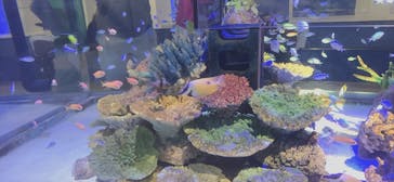 竹島水族館に投稿された画像（2024/10/27）