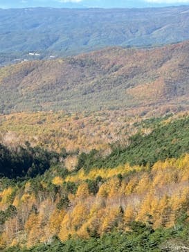 北八ヶ岳ロープウェイに投稿された画像（2024/10/27）