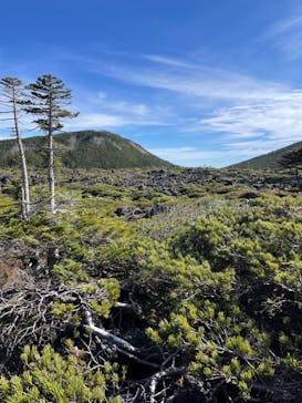 北八ヶ岳ロープウェイに投稿された画像（2024/10/27）