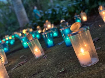 江の島シーキャンドルに投稿された画像（2024/10/27）