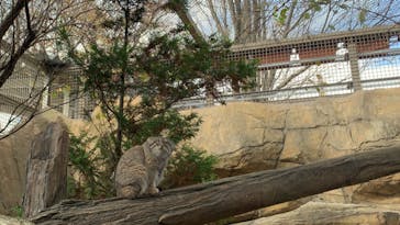 那須どうぶつ王国に投稿された画像（2024/10/27）