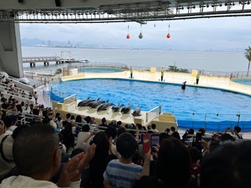 マリンワールド海の中道に投稿された画像（2024/10/27）
