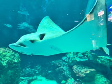 マリンワールド海の中道に投稿された画像（2024/10/27）