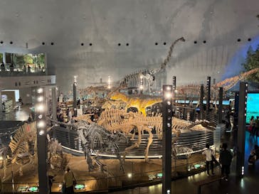 福井県立恐竜博物館に投稿された画像（2024/10/27）