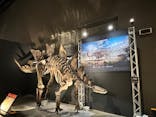 福井県立恐竜博物館に投稿された画像（2024/10/28）