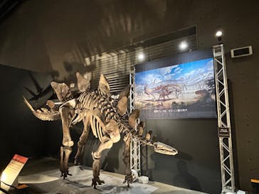 福井県立恐竜博物館に投稿された画像（2024/10/27）