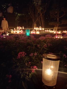 江の島シーキャンドルに投稿された画像（2024/10/27）