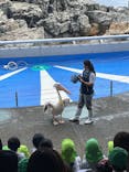 大分マリーンパレス水族館 「うみたまご」に投稿された画像（2024/10/28）