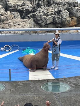 大分マリーンパレス水族館 「うみたまご」に投稿された画像（2024/10/27）