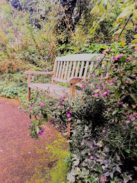 横浜イングリッシュガーデンに投稿された画像（2024/10/27）