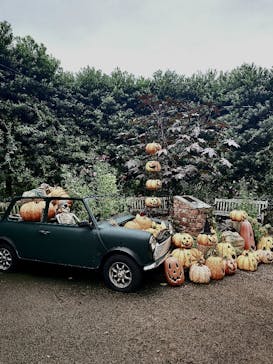 横浜イングリッシュガーデンに投稿された画像（2024/10/27）