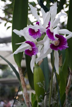 神戸どうぶつ王国に投稿された画像（2024/10/27）