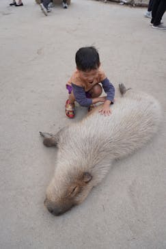 神戸どうぶつ王国に投稿された画像（2024/10/27）