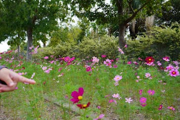 神戸どうぶつ王国に投稿された画像（2024/10/27）