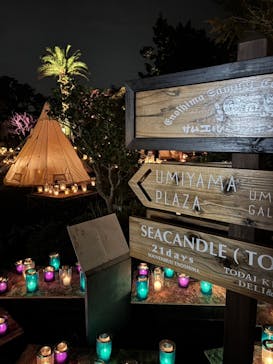 江の島シーキャンドルに投稿された画像（2024/10/28）