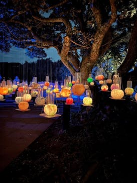 江の島シーキャンドルに投稿された画像（2024/10/28）