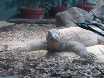 名古屋市東山動植物園に投稿された画像（2024/10/28）