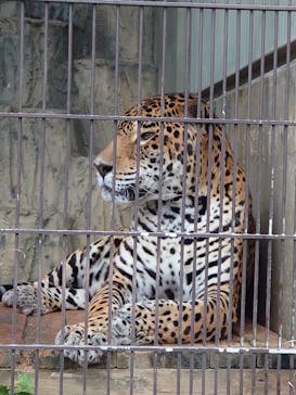 名古屋市東山動植物園に投稿された画像（2024/10/28）