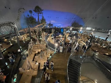 福井県立恐竜博物館に投稿された画像（2024/10/28）