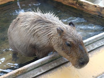 那須どうぶつ王国に投稿された画像（2024/10/28）