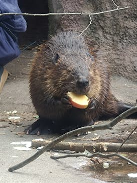 那須どうぶつ王国に投稿された画像（2024/10/28）