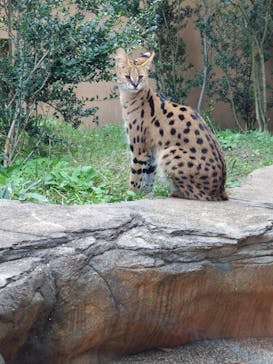 那須どうぶつ王国に投稿された画像（2024/10/28）