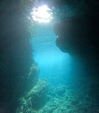 沖縄マリンサービス碧に投稿された画像（2024/10/28）