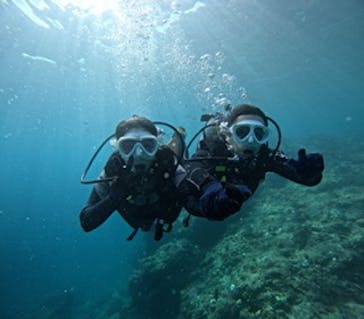 沖縄マリンサービス碧に投稿された画像（2024/10/28）