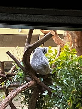 多摩動物公園に投稿された画像（2024/10/28）