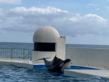 鴨川シーワールドに投稿された画像（2024/10/28）