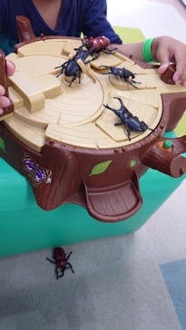 おもちゃ王国（岡山）に投稿された画像（2024/10/28）