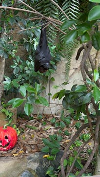 長崎バイオパークに投稿された画像（2024/10/28）