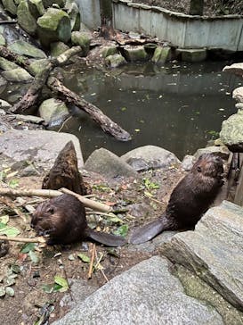 長崎バイオパークに投稿された画像（2024/10/28）