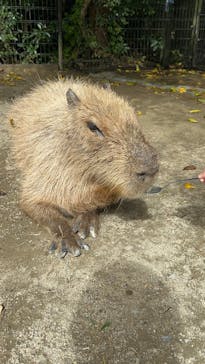 長崎バイオパークに投稿された画像（2024/10/28）