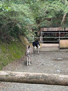 長崎バイオパークに投稿された画像（2024/10/28）